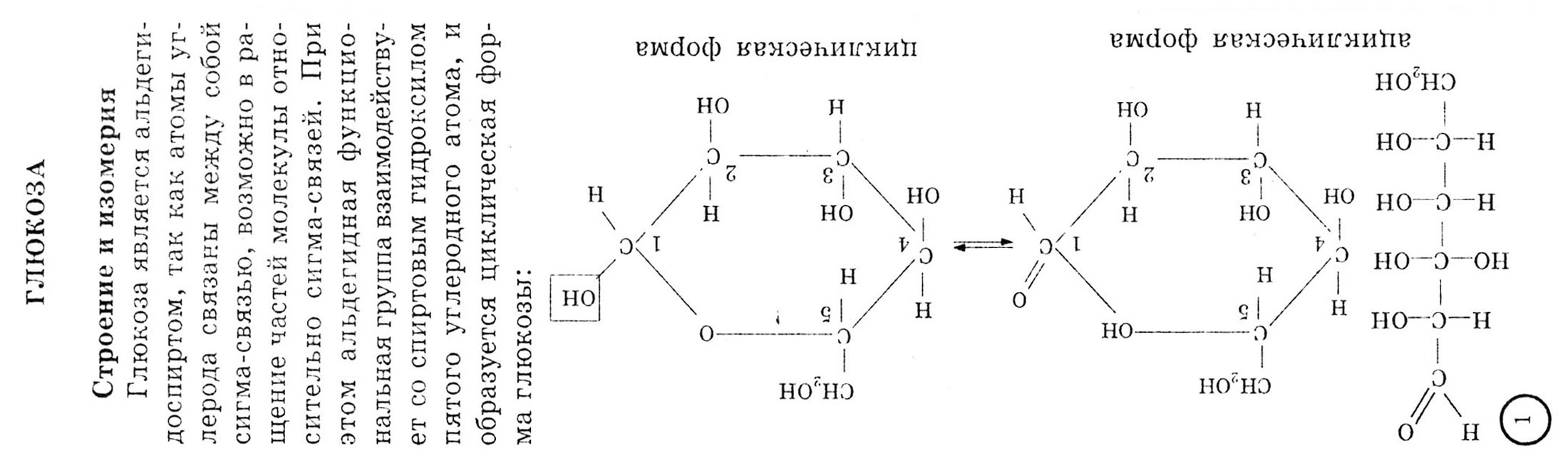 Печать шпаргалки